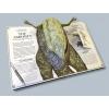 Tyrannosaurus Rex Pop-up Guide to Anatomy