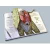 Tyrannosaurus Rex Pop-up Guide to Anatomy
